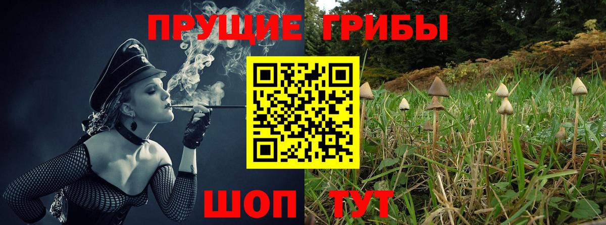 Псилоцибиновые грибы Cubensis Благодарный