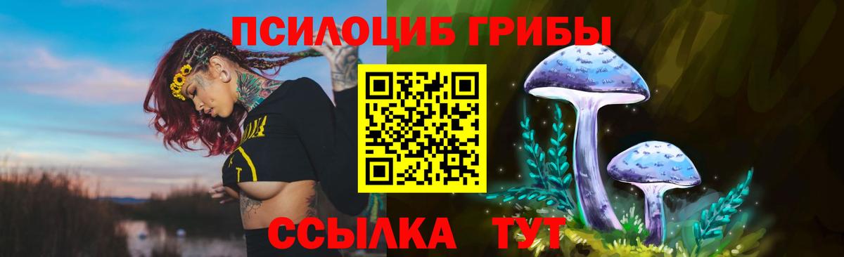 Благодарный  Псилоцибиновые грибы мухоморы  Вход с VPN 